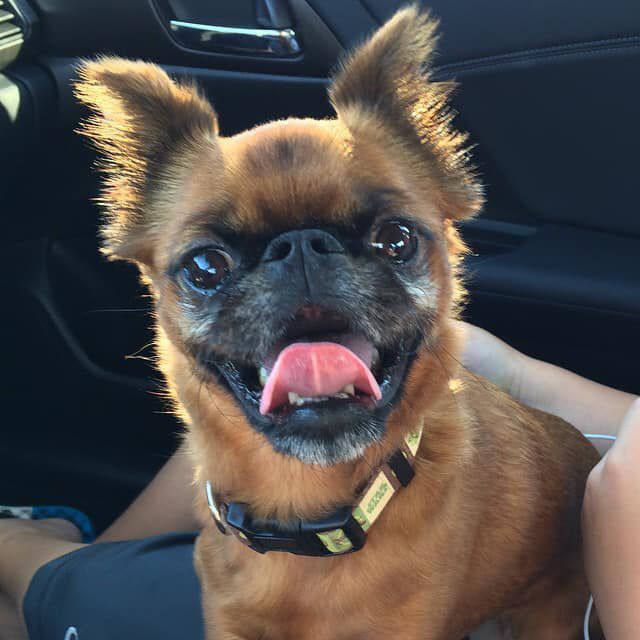 Smile!
